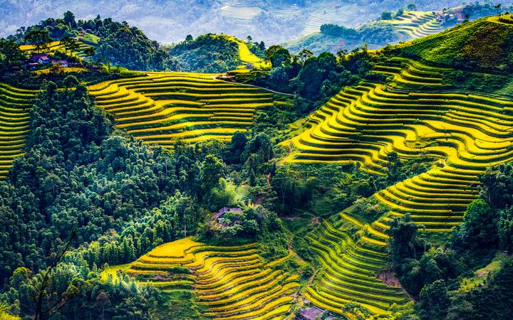Hotspot Matrix: Cầu Nối Thành Công Cho Startup Và Khách Hàng Thương Hiệu