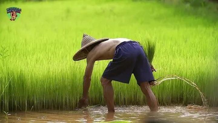 - Tận dụng công nghệ AI: Công nghệ AI có thể giúp các nhà sáng tạo tạo ra nội dung