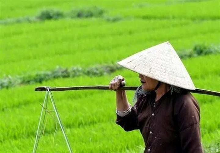 Cơ Hội Khởi Nghiệp Mới Cho Cựu Chiến Binh: Hotspot Matrix